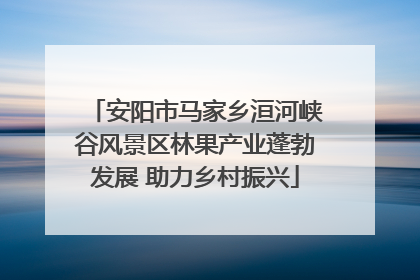 安阳市马家乡洹河峡谷风景区林果产业蓬勃发展 助力乡村振兴