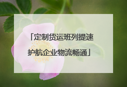 定制货运班列提速 护航企业物流畅通