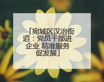 宛城区汉冶街道：党员干部进企业 精准服务促发展