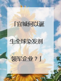 宜城何以诞生全球染发剂领军企业？
