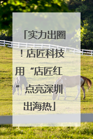 实力出圈！店匠科技用“店匠红”点亮深圳出海热