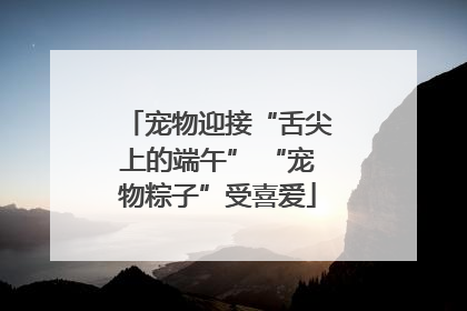 宠物迎接“舌尖上的端午” “宠物粽子”受喜爱
