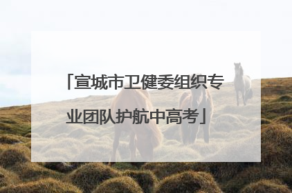 宣城市卫健委组织专业团队护航中高考