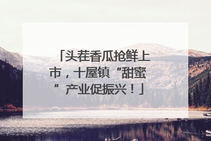 头茬香瓜抢鲜上市，十屋镇“甜蜜”产业促振兴！