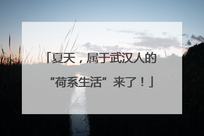 夏天，属于武汉人的“荷系生活”来了！