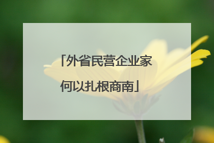 外省民营企业家何以扎根商南