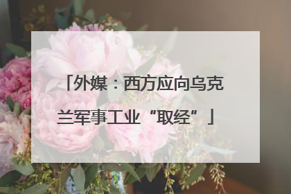 外媒：西方应向乌克兰军事工业“取经”