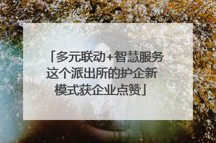 多元联动+智慧服务 这个派出所的护企新模式获企业点赞