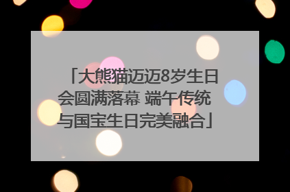 大熊猫迈迈8岁生日会圆满落幕 端午传统与国宝生日完美融合