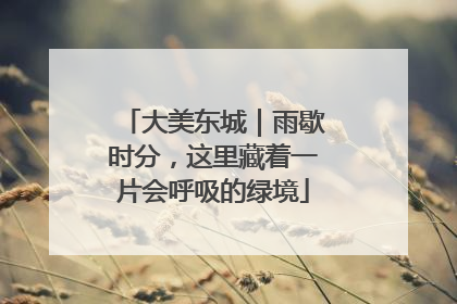 大美东城｜雨歇时分，这里藏着一片会呼吸的绿境