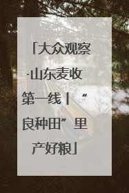 大众观察·山东麦收第一线丨“良种田”里产好粮