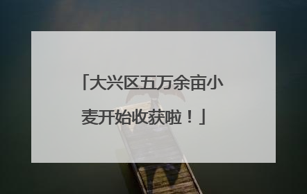 大兴区五万余亩小麦开始收获啦！