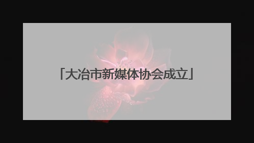 大冶市新媒体协会成立