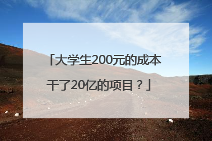 大学生200元的成本干了20亿的项目？