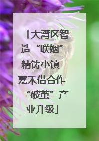 大湾区智造“联姻”精铸小镇 嘉禾借合作“破茧”产业升级