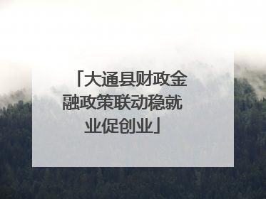 大通县财政金融政策联动稳就业促创业