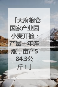 天府粮仓国家产业园小麦开镰：产量三年连涨，亩产584.3公斤！