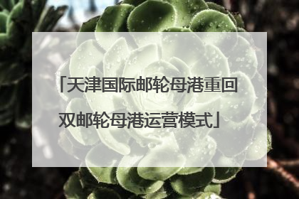 天津国际邮轮母港重回双邮轮母港运营模式