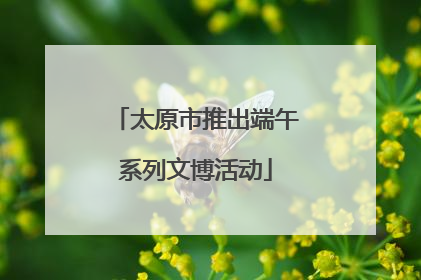 太原市推出端午系列文博活动