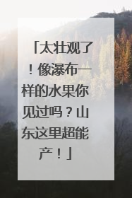 太壮观了！像瀑布一样的水果你见过吗？山东这里超能产！