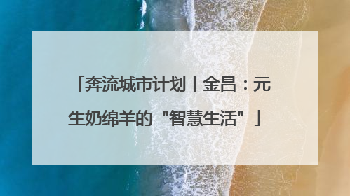 奔流城市计划丨金昌：元生奶绵羊的“智慧生活”