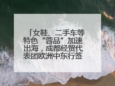女鞋、二手车等特色“蓉品”加速出海，成都经贸代表团欧洲中东行签单逾3.7亿元