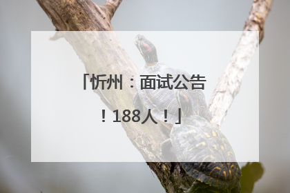 忻州：面试公告！188人！