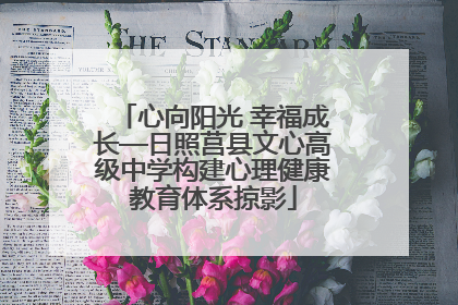 心向阳光 幸福成长—日照莒县文心高级中学构建心理健康教育体系掠影