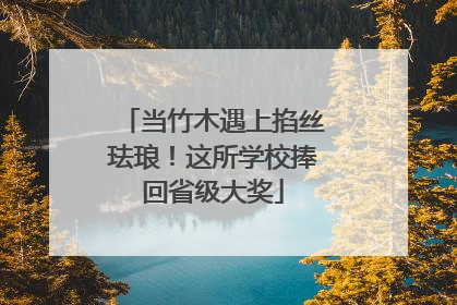 当竹木遇上掐丝珐琅！这所学校捧回省级大奖