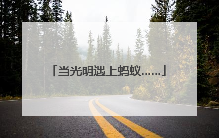 当光明遇上蚂蚁……