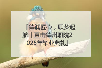 德润匠心，职梦起航丨直击德州职院2025年毕业典礼