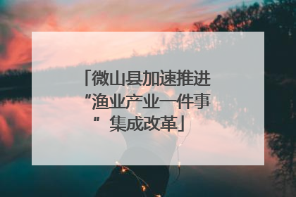 微山县加速推进“渔业产业一件事”集成改革