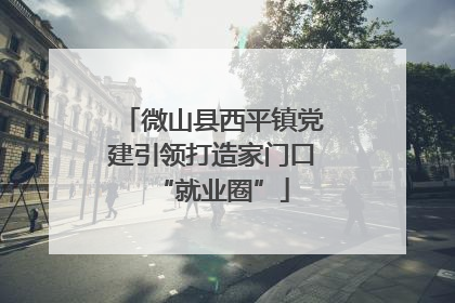 微山县西平镇党建引领打造家门口“就业圈”