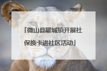 微山县驩城镇开展社保换卡进社区活动