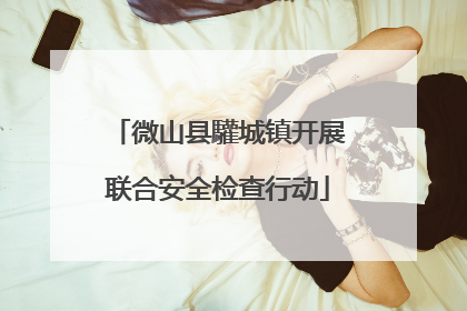 微山县驩城镇开展联合安全检查行动