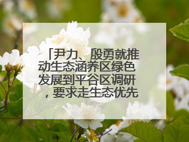 尹力、殷勇就推动生态涵养区绿色发展到平谷区调研，要求走生态优先、绿色低碳的高质量发展之路