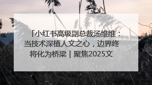 小红书高级副总裁汤维维：当技术深植人文之心，边界终将化为桥梁｜聚焦2025文化强国建设高峰论坛
