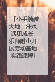 小手触碰大地，汗水遇见成长 乐师附小开展劳动基地实践课程