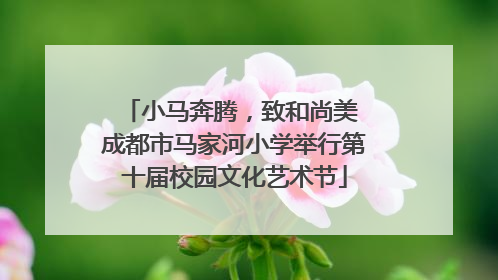 小马奔腾，致和尚美 成都市马家河小学举行第十届校园文化艺术节