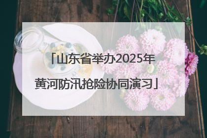 山东省举办2025年黄河防汛抢险协同演习