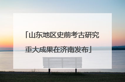 山东地区史前考古研究重大成果在济南发布