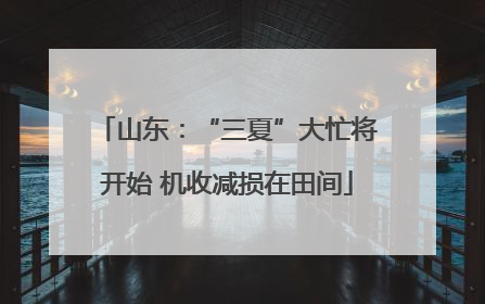 山东：“三夏”大忙将开始 机收减损在田间