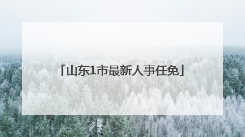 山东1市最新人事任免