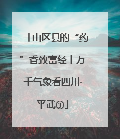 山区县的“药”香致富经丨万千气象看四川·平武③