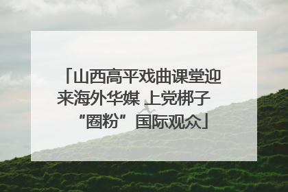 山西高平戏曲课堂迎来海外华媒 上党梆子“圈粉”国际观众