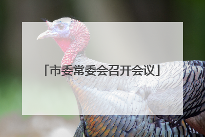 市委常委会召开会议