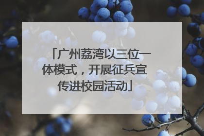 广州荔湾以三位一体模式，开展征兵宣传进校园活动