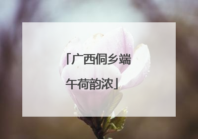 广西侗乡端午荷韵浓