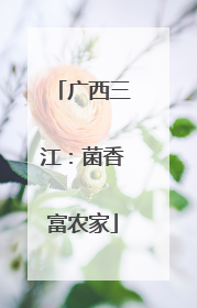 广西三江：菌香富农家