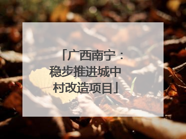 广西南宁：稳步推进城中村改造项目